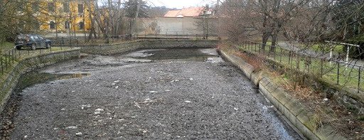 Vokovický rybník čeká revitalizace