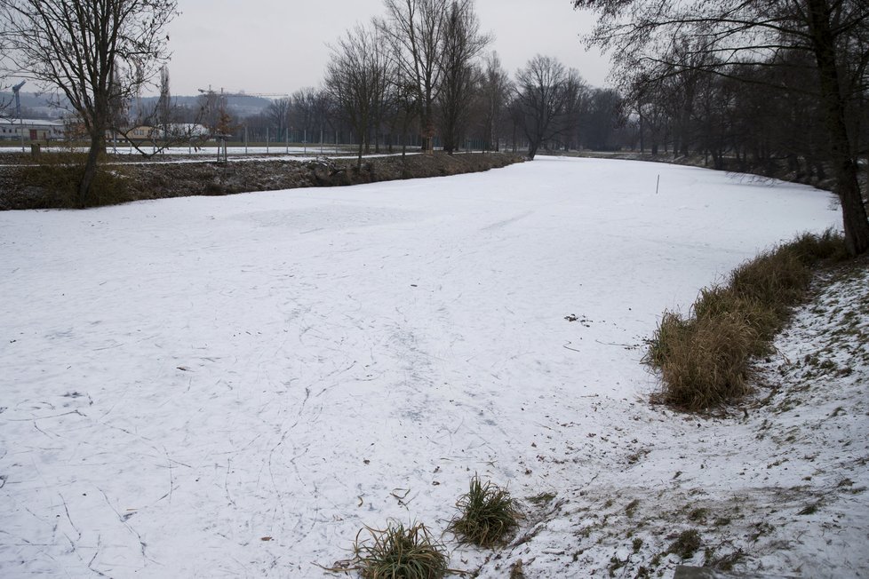 Zamrzlé rybníky v Praze