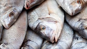Další kauza ze stran Poláků - přelepená data spotřeby u ryb