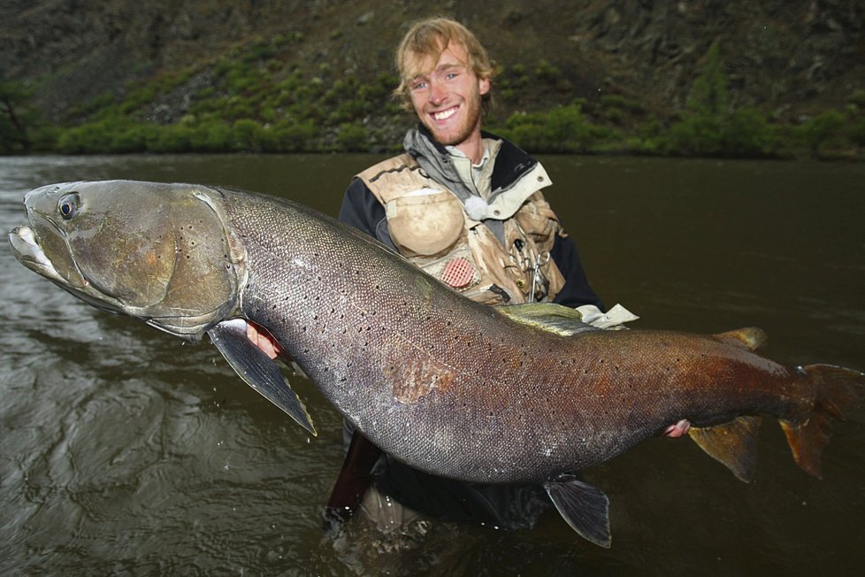 Tajmen je největší lososovitá ryba světa. Pokud chcete ulovit podobně kapitální kousek, známý rybář doporučuje vydat se do odlehlých koutů Mongolska