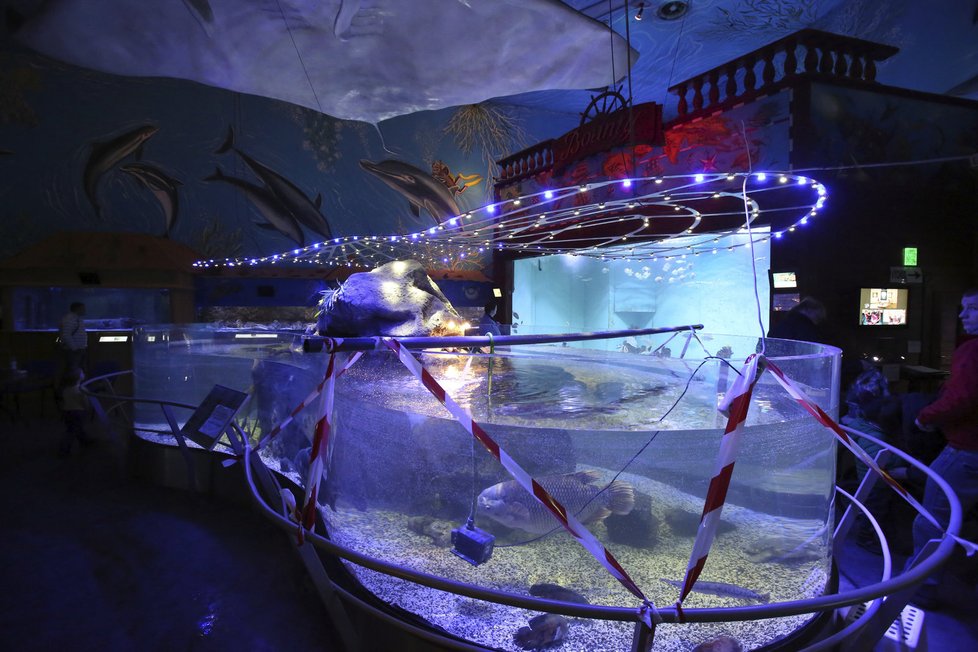 Policie zajistila akvárium, kde ryby uhynuly, i nádrže vedle něj