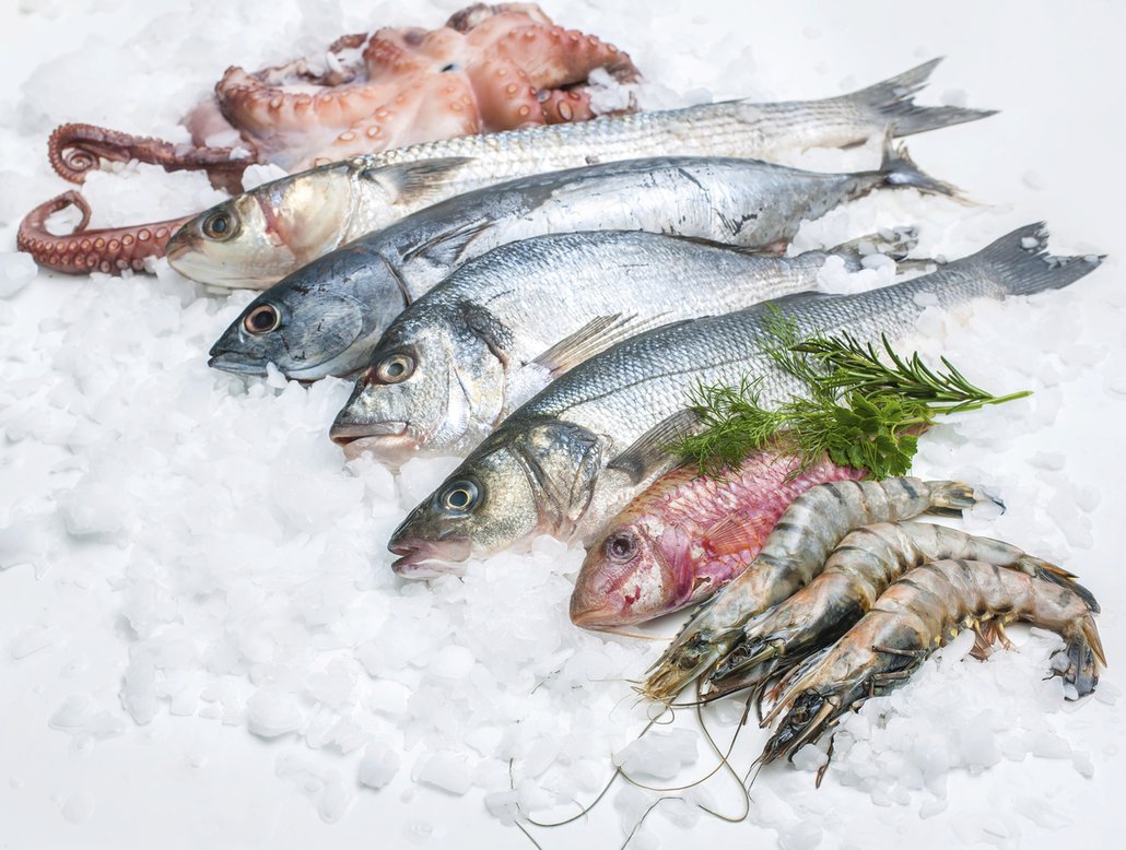 Ryby obsahují mnoho vitaminů, bílkovin, jodu a zdravých tuků, a proto by ve vašem jídelníčku měly mít své čestné místo.