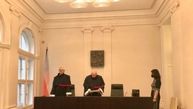 Ústavní soud v čele s Pavlem Rychetským