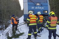 Vlaky z Kralup do Prahy jezdí se zpožděním. Silný vítr porazil na trať strom, opravy se protáhnou do večera