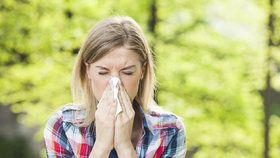 Řada alergiků zažívá v dnešních dnech peklo, díky teplému počasí začalo růst více druhů stromů naráz