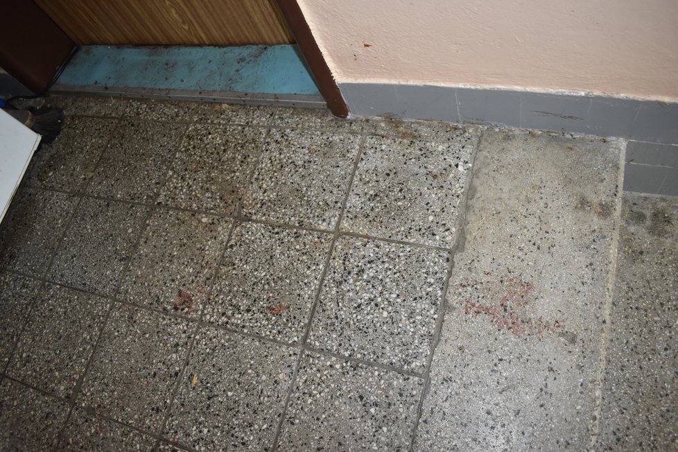 Krvavé stopy na podlaze před bytem, kde se tragédie odehrála.