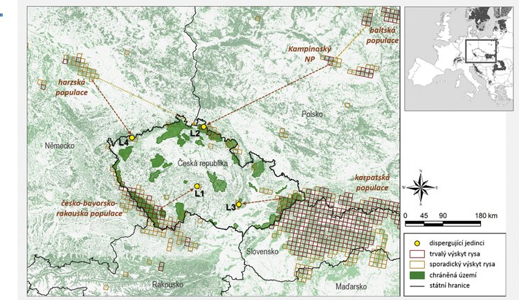 Česká republika je křižovatkou cest rysů z celé Evropy