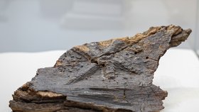 Jediná rytina do dřeva z raného středověku: V čelákovickém muzeu vystavují světový unikát starý 1300 let!