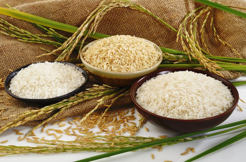Rýže musí být správně uchovávaná, jinak může způsobit otravu.