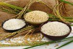 5 zajímavostí, které jste o rýži nevěděli. Vydrží jen tři měsíce!