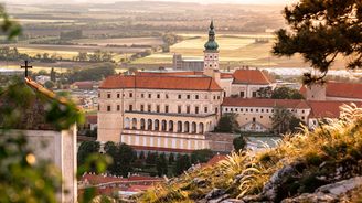 Grow du Monde míří poprvé do Česka. Vinaři mohou přihlašovat své Vlašáky do půlky května Grow du Monde míří poprvé do Česka. Vinaři mohou přihlašovat své Vlašáky do půlky května