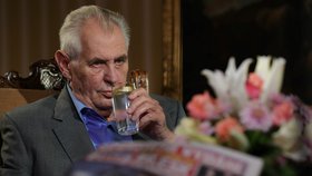 Prezident Miloš Zeman v pořadu S prezidentem v Lánech na Blesk.cz