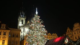 Vánoce začínají! Na Staroměstském náměstí byl rozsvícen strom