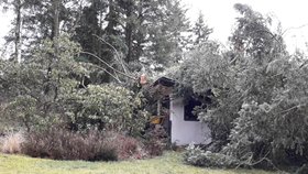 Nad Českem se prohnal orkán Sabine. Hasiči po celý den likvidovali následky: popadané stromy, zničené vedení, popadané sloupy, zničená auta, vytopené sklepy a ulítlé střechy