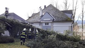 Nad Českem se prohnal orkán Sabine. Hasiči po celý den likvidovali následky: popadané stromy, zničené vedení, popadané sloupy, zničená auta, vytopené sklepy a popadané střechy.