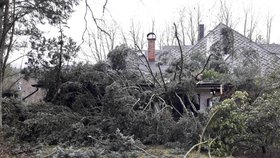 Nad Českem se prohnal orkán Sabine. Hasiči po celý den likvidovali následky: popadané stromy, zničené vedení, popadané sloupy, zničená auta, vytopené sklepy a popadané střechy.