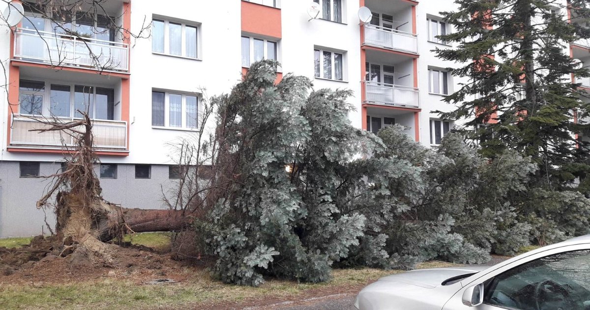 Nad Českem se prohnal orkán Sabine. Hasiči po celý den likvidovali následky: popadané stromy, zničené vedení, popadané sloupy, zničená auta, vytopené sklepy a ulítlé střechy