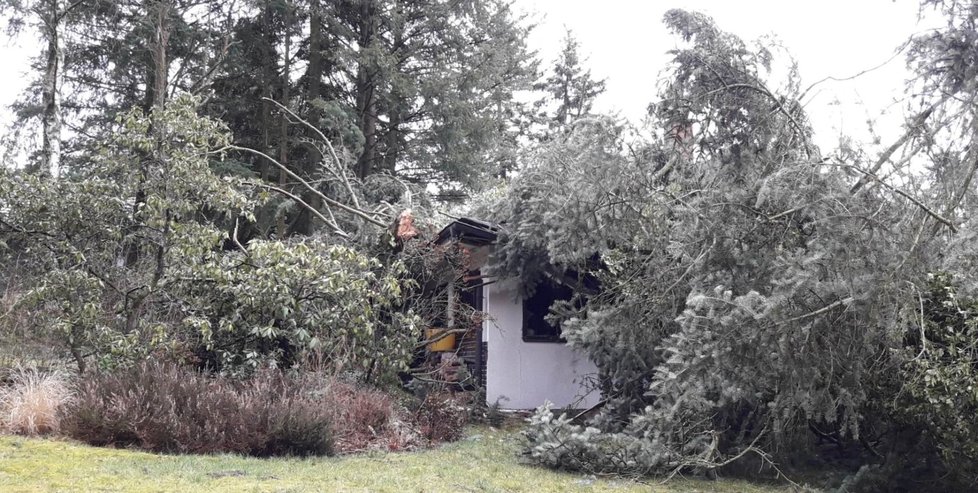 Hasiči na severu Moravy minulý týden zaměstnala vichřice Sabine. Vyjížděli k popadaným stromům, uvolněným střechám i nehodám.