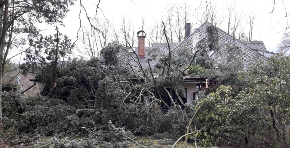 Nad Českem se prohnal orkán Sabine. Hasiči po celý den likvidovali následky: popadané stromy, zničené vedení, popadané sloupy, zničená auta, vytopené sklepy a ulítlé střechy.