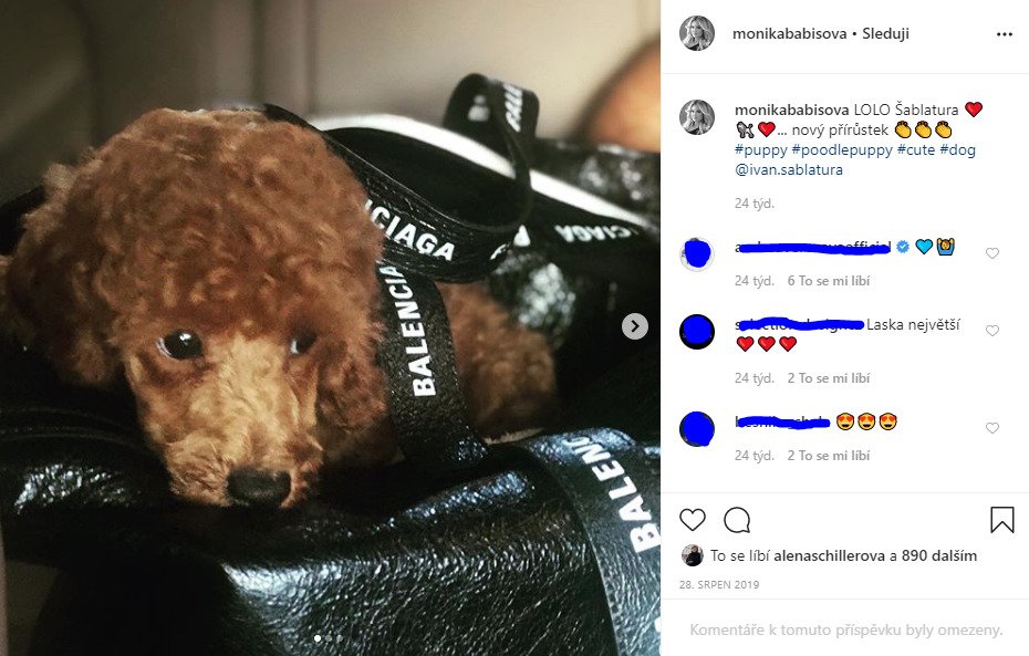 Pudlíka si Šablatúra podle instagramu Moniky Babišové pořídil v srpnu loňského roku