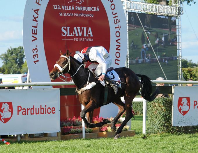 Návrat šampiona na start Velké. Trenérka: Veterán? Je favorit! V sedle jediná žena Návrat šampiona na start Velké. Trenérka: Veterán? Je favorit! V sedle jediná žena