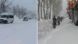 Školačka (10) se cestou domů ztratila ve sněhové bouři: Zachránil ji toulavý pes