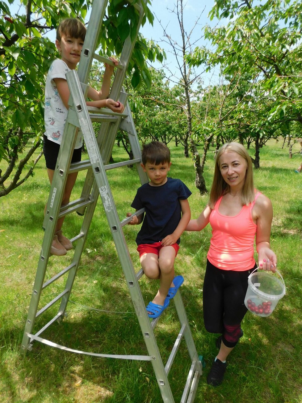 Natrhat třešně na jídlo i marmeládu přijela z nedalekých Pohořelic s dětmi Anna Riabec.