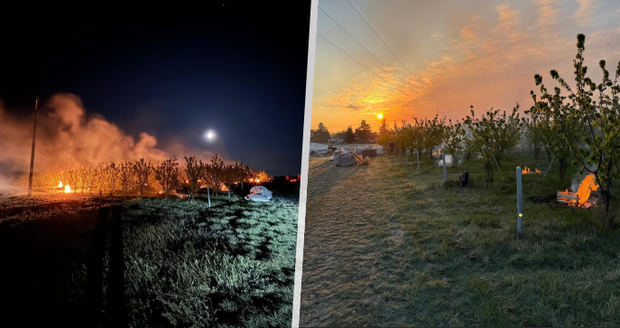 Ovocnáři a vinaři se brání mrazům: „Druhá noc, co bojujeme, meruňky to nezvládnou." Kdy se už oteplí?