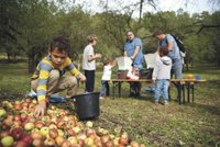 Pěstitelé ovoce dostanou za jarní mrazy odškodnění 50 milionů, schválila vláda