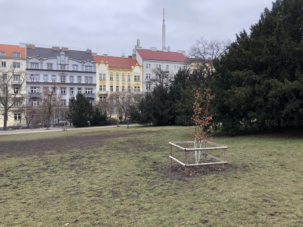 Park bude už v létě 2022 centrem klidu a oázy