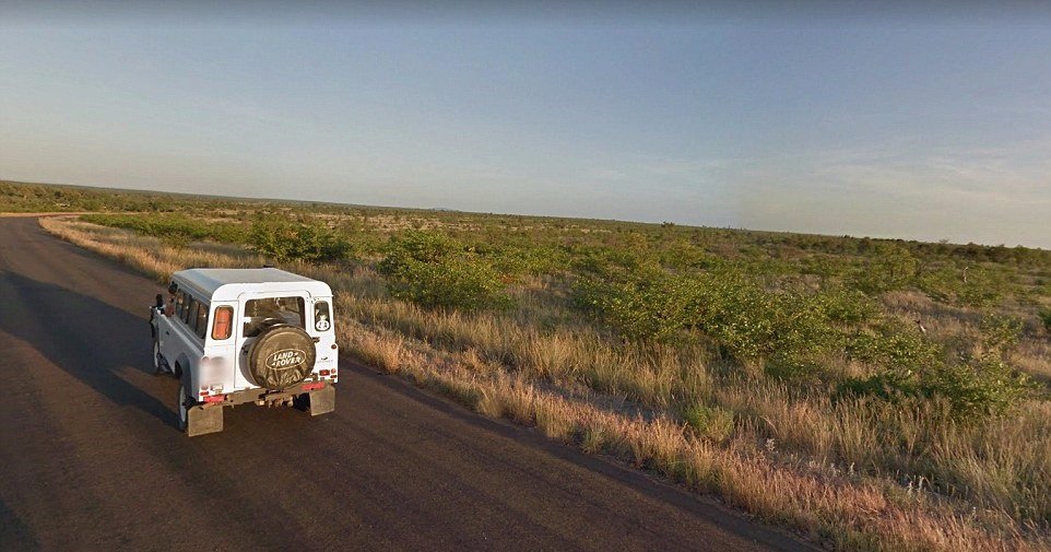 Africké safari si díky Google Street View může prohlédnout z pohodlí domova.