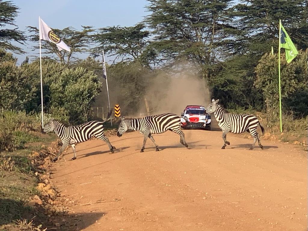 Safari Rallye 2021