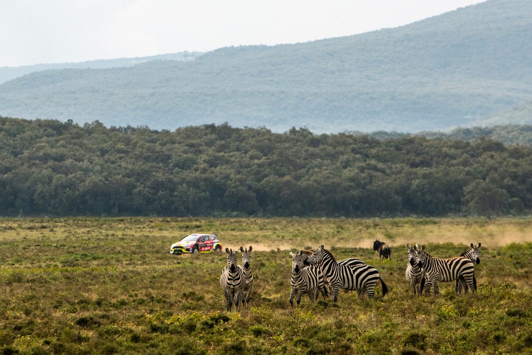 Safari rallye 2023