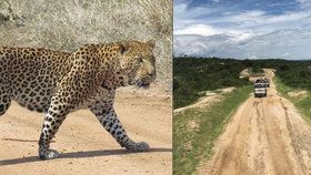 Tříletého chlapce na safari v Ugandě sežral leopard.