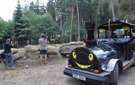 Návštěvníky olomoucké zoo vozí po novém safari speciální vláček.