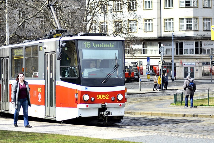 Pražané jsou nadšeni z rozkvetlých květin v trávě u náměstí Míru. Bílý šafrán se stal celebritou, Pražané si ho s nadšením fotí.