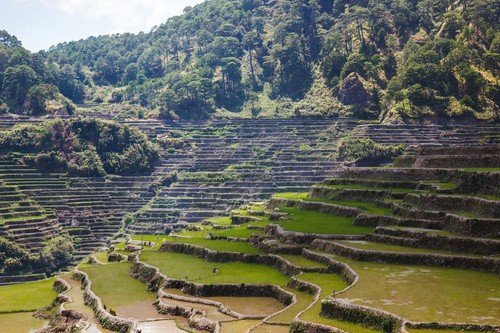 V údolí se lidé živí především pěstováním rýže na obrovských terasách.