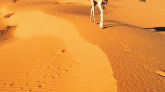 Objevování Alžírska: Koncert pro pět smyslů. To je „království dun“ zvané Sahara