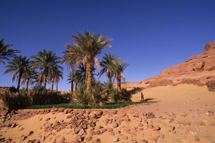 Sahara na území Alžírska. Sahara na území Alžírska.