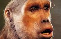 Rekonstrukce sahelské Toumaï, která patřila zřejmě k prvním hominidům chodícím po dvou nohou