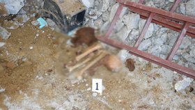 Děsivý nález v pneuservisu: dělníci našli 50 let starou kostru.