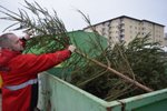 Lidé v Brně mohou použité vánoční stromky odnést na sběrný dvůr (na snímku) nebo je nechat nařezané u černých popelnic.