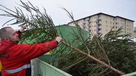 Lidé v Brně mohou použité vánoční stromky odnést na sběrný dvůr (na snímku) nebo je nechat nařezané u černých popelnic.