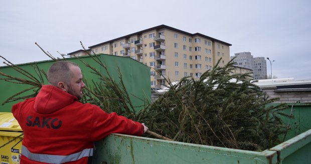 Lidé v Brně mohou použité vánoční stromky odnést na sběrný dvůr (na snímku) nebo je nechat nařezané u černých popelnic.