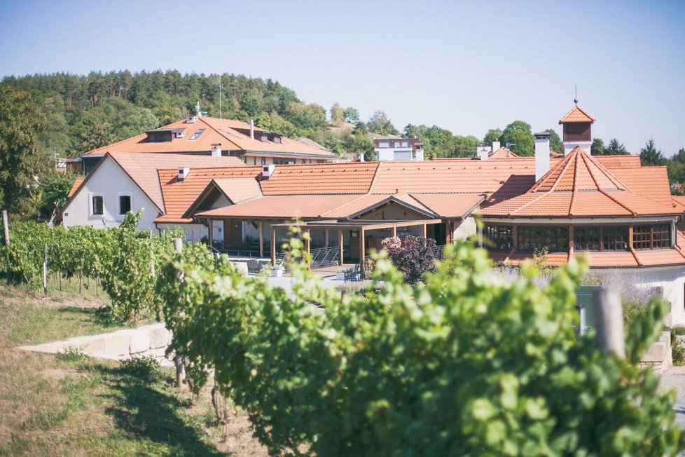 V srdci Prahy najdete vinařství Salabka, kde získáte pocit, že se nacházíte na Moravě uprostřed vinic a klidu.