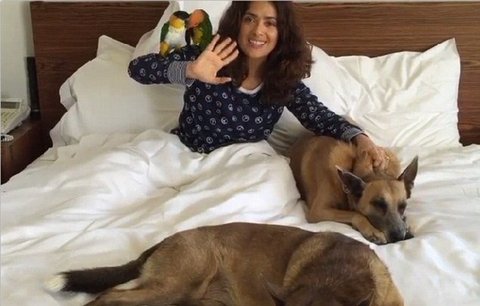 Chlupy v posteli jí nevadí: Salma Hayek je královna zvěře, doma má 50 mazlíčků