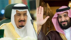 Král Salmán bin Abd al-Azíz prý předá moc svému synovi Muhammedovi.