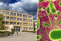 Epidemie salmonely v Újezdu nad Lesy: Děti blouzní a omdlévají!