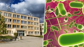 Hromadná nákaza salmonelou v Újezdu nad Lesy: Radnice podává trestní oznámení! Takřka 500 nemocných