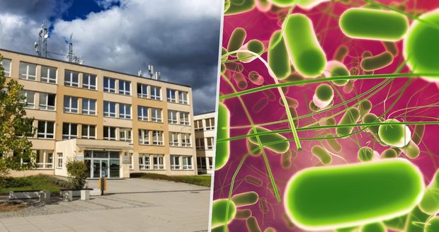 Salmonela na základní škole v Újezdu nad Lesy